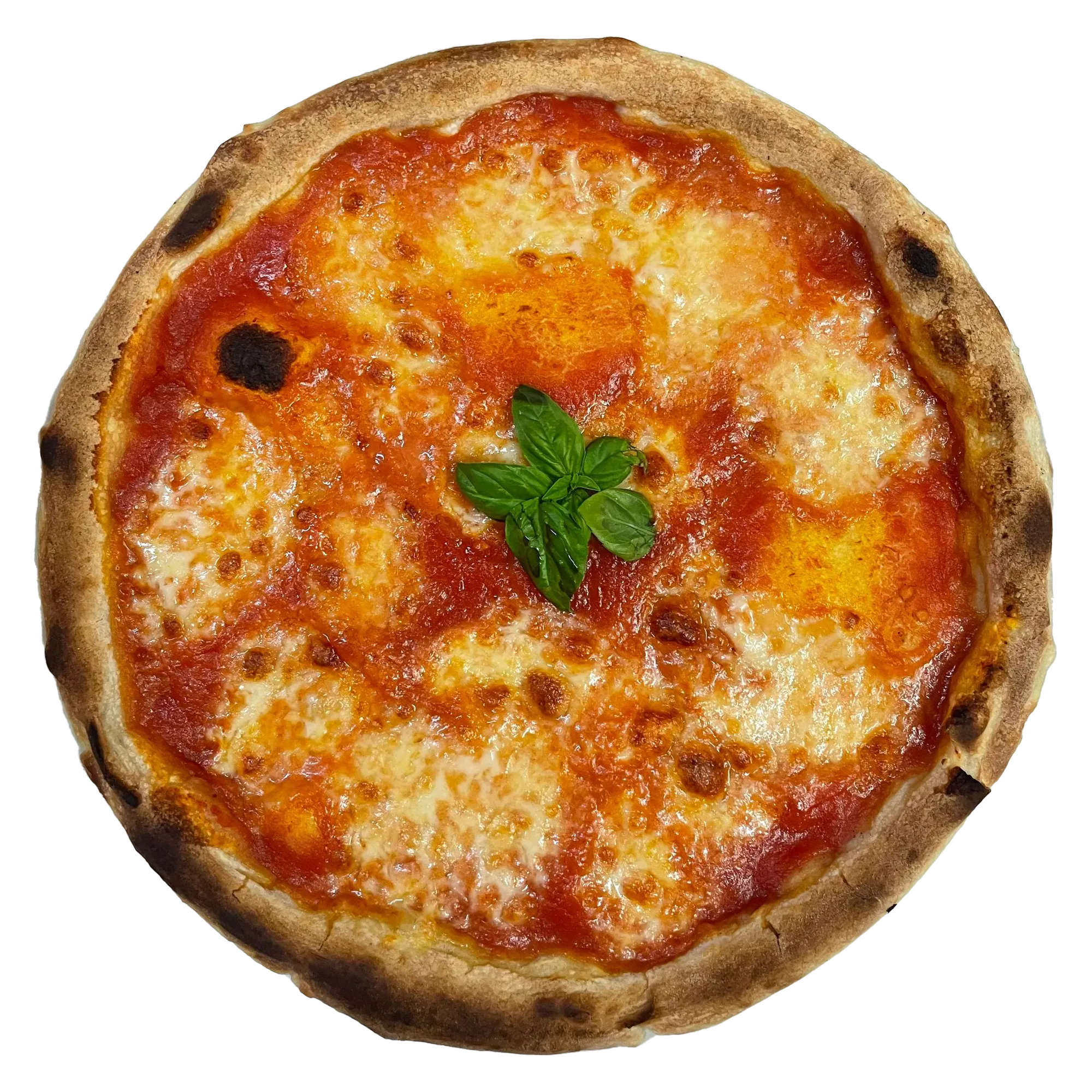 Pizza Margherita