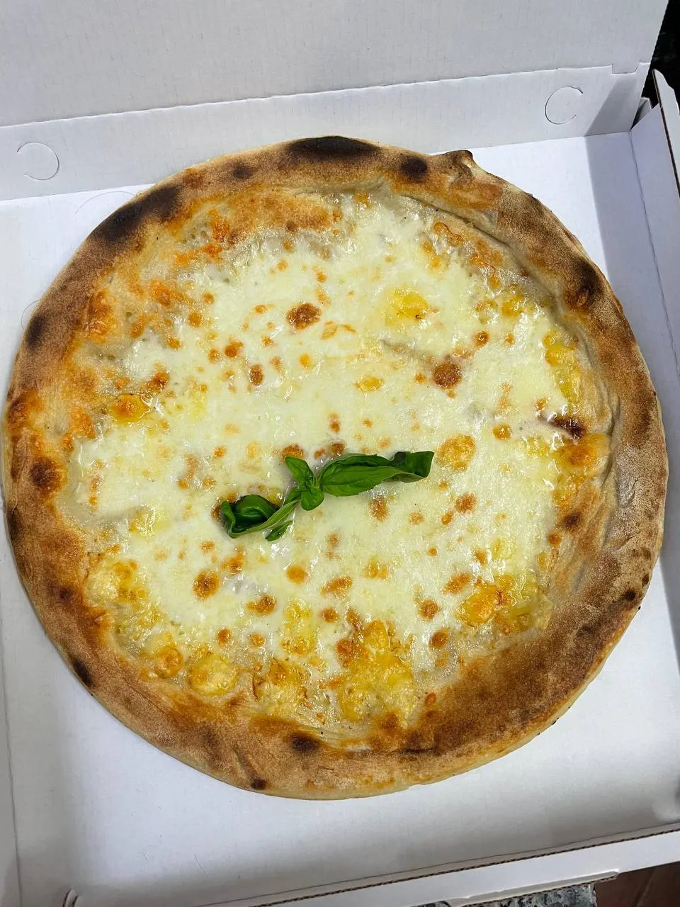 Scatto pizzeria
